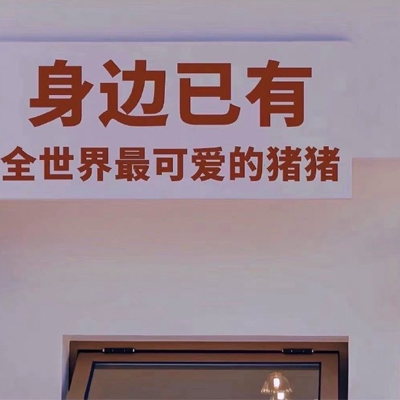 训狗知识宠物狗大全